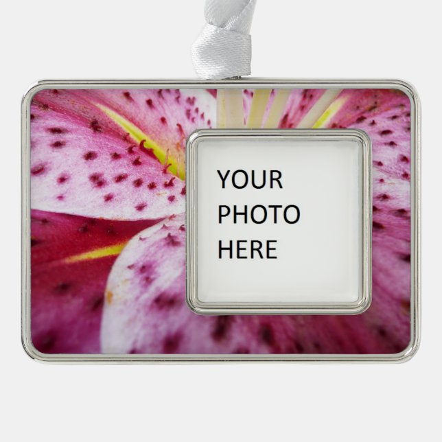 Stargazer Lily Bright Magenta Rahmen-Ornament Silber (Vorderseite)