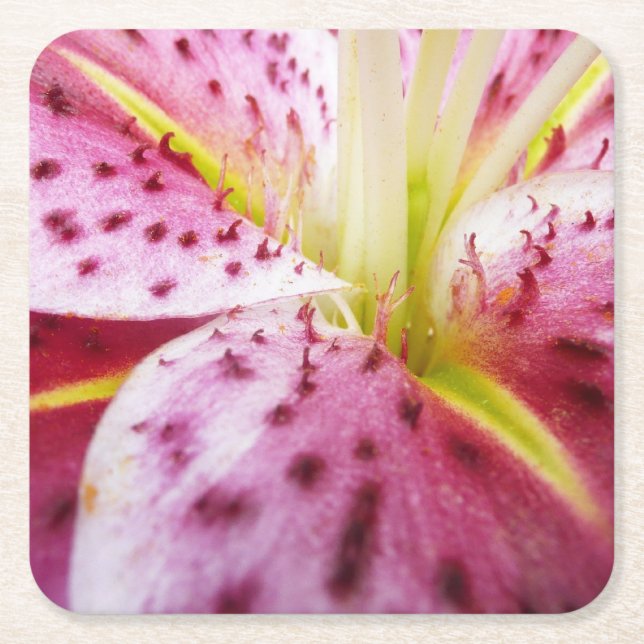 Stargazer Lily Bright Magenta Rechteckiger Pappuntersetzer (Vorderseite)