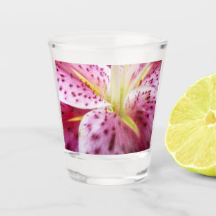 Stargazer Lily Bright Magenta Schnapsglas