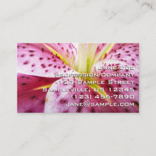Stargazer Lily Bright Magenta Visitenkarte
