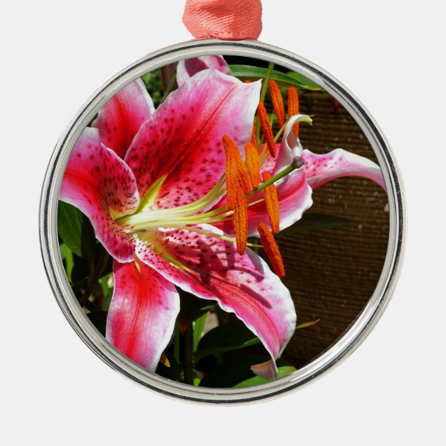 Stargazer Lily Fotograf Ornament Aus Metall (Vorne)