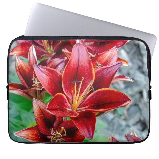 Stargazer Lily, Rote Blumenfotografie Laptopschutzhülle (Vorderseite)