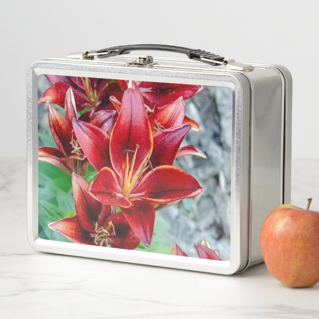 Stargazer Lily, Rote Blumenfotografie Metall Brotdose (Beispiel)