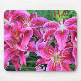 Stargazer-Orientale-Lilien Mousepad