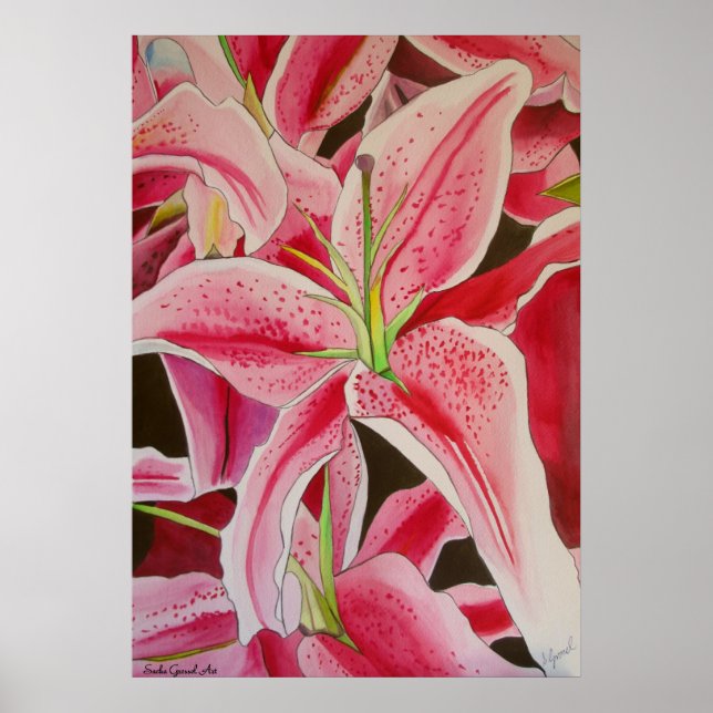 Stargazer Rosa Lilie Aquarell Originale Kunst Poster (Vorne)