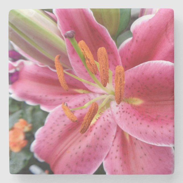 Stargazer Steinuntersetzer (Vorderseite)