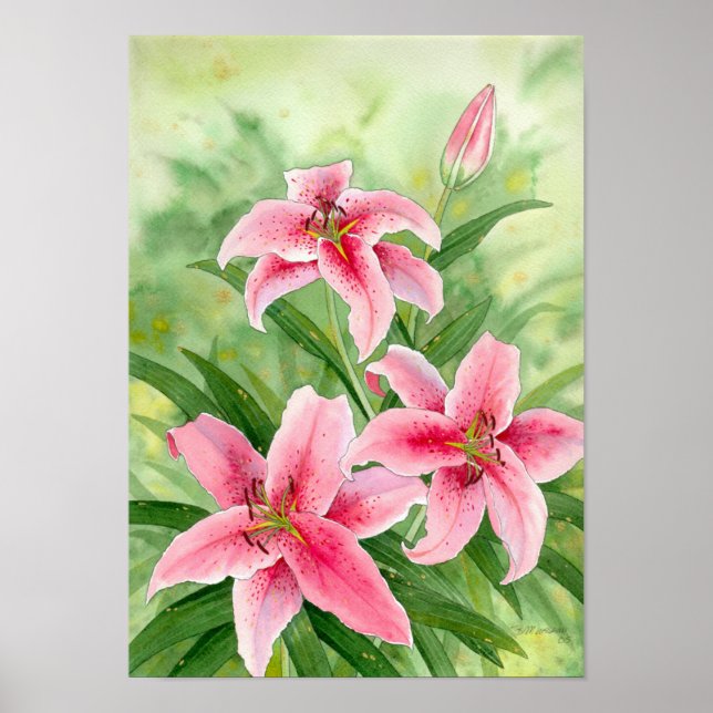 Stargazerlik Poster (Vorne)