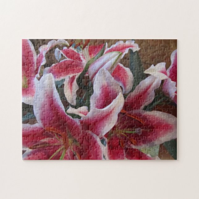 Stargazers-1 (Horizontal)