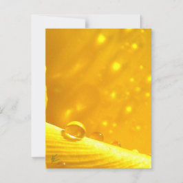 Stargazing Dew Tropfen auf gelber Geruchsdohle Postkarte