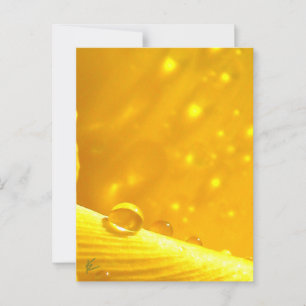 Stargazing Dew Tropfen auf gelber Geruchsdohle Postkarte