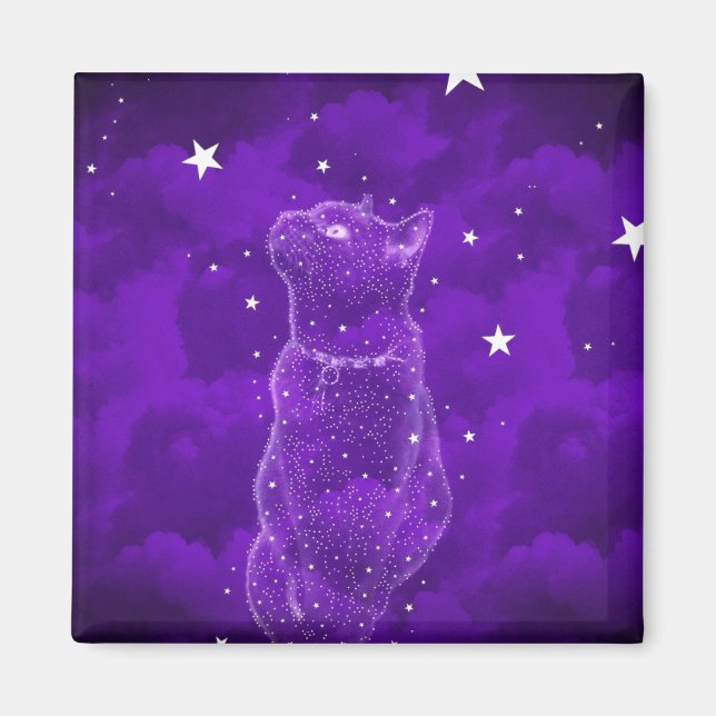 Stargazing Magnet de chats (Devant)
