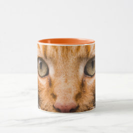 Staring Cat Tasse