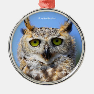 Staring Contest mit einem schönen großen Horned Ow Ornament Aus Metall