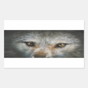 Staring Grey Wolf Eyes Wildlife Art Rechteckiger Aufkleber