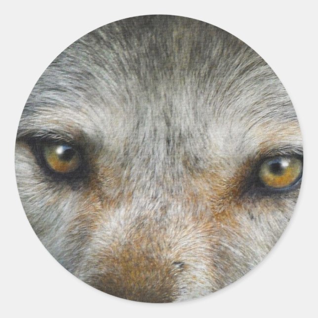 Staring Grey Wolf Eyes Wildlife Art Runder Aufkleber (Vorderseite)
