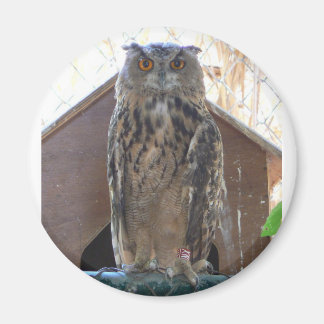 Staring-Uhu Magnet