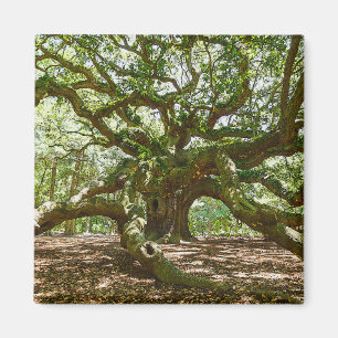 stark und mutig magnet