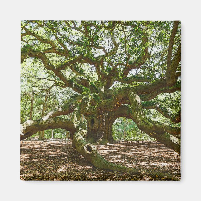 stark und mutig magnet (Vorne)