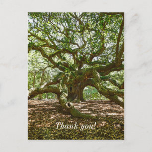 Stark und mutig postkarte