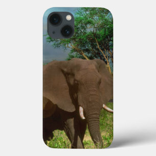 "Stärke: Die Weide des Bull Elephant" Case-Mate iPhone Hülle