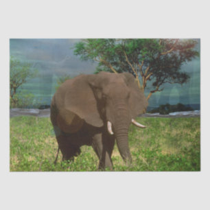 "Stärke: Die Weide des Bull Elephant" Seidenpapier