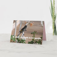 Stärke für die Gentle Australian Honeyeater Card