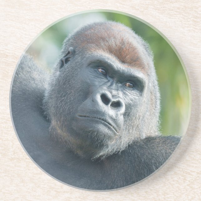 Stärke - Gorilla Side Glanz Getränkeuntersetzer (Vorne)