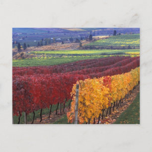 Starke rote und gelbe Herbstfarben auf dem Gehring Postkarte