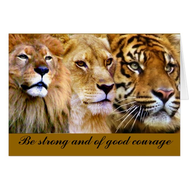 Stärke und Power_ (Vorderseite (Horizontal))