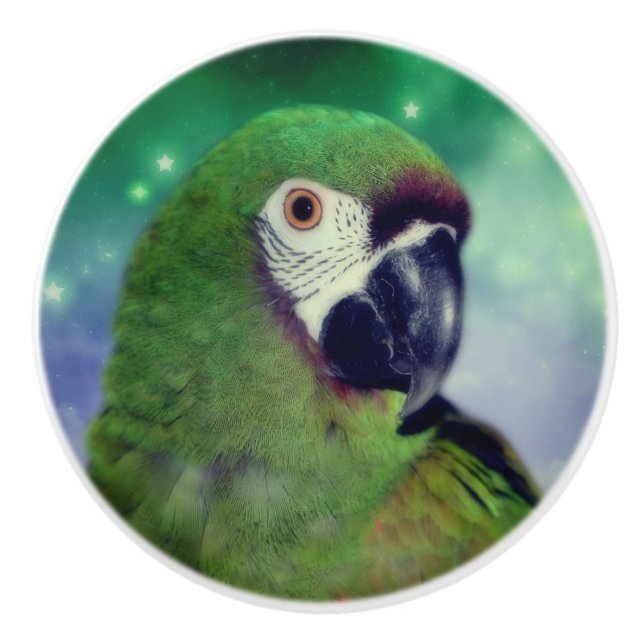 Starker Ara Papagei Nah Keramikknauf (Vorderseite)