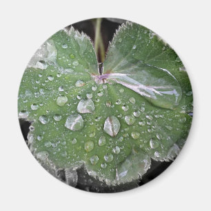 starker Regen Magnet