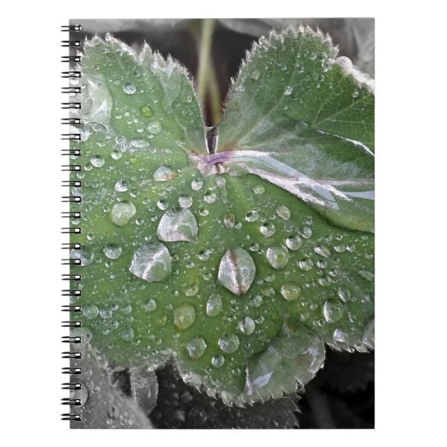 starker Regen Notizblock (Vorderseite)