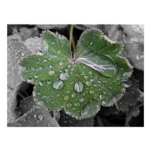 starker Regen Poster