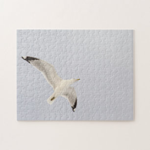 Starkgull