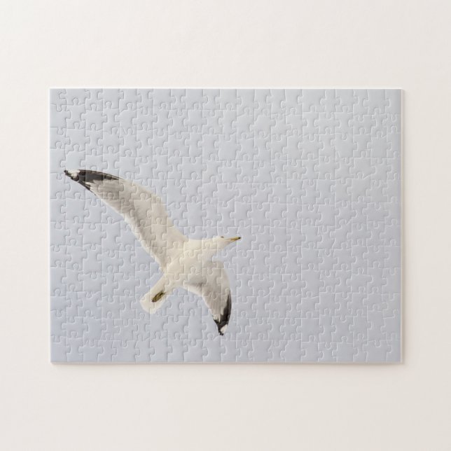 Starkgull (Horizontal)