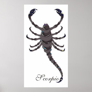 Starlight Scorpio Print Poster