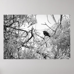 Starling auf einem gefrorenen Baum Poster
