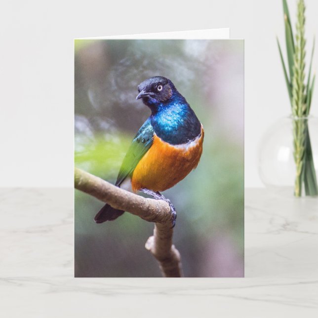 Starling Bird auf Baumgrenze Karte (Vorderseite)