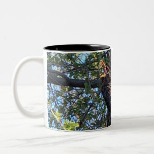 Starling Bird-Tasse Zweifarbige Tasse