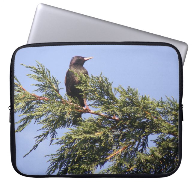 Starling in einer Spruce Tree Laptop-Tasche Laptopschutzhülle (Vorderseite)