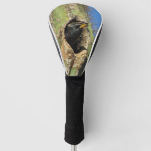 Starling in Saguaro Cactus Foto Southwest Bird Golf Headcover
