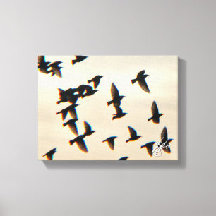 Starling Murmur Leinwanddruck
