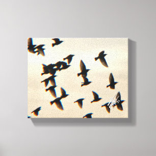 Starling Murmur Vogel Silhouette Kunst Leinwanddruck
