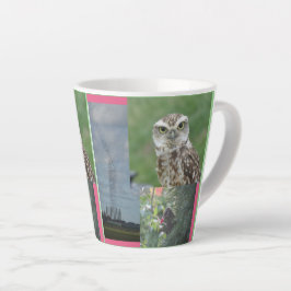 Starling, Owl und Birdswarm Collage Latte Tasse