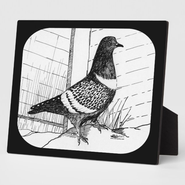 Starling Pigeon 1973 Fotoplatte (Seite)