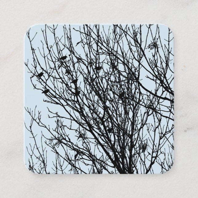 Starlings in einem Baum - Black on Bale Blue D3E5E Quadratische Visitenkarte (Vorderseite)