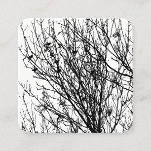 Starlings in einem Baum - Schwarz auf Weiß Quadratische Visitenkarte