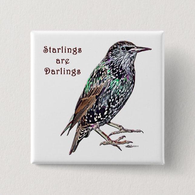 Starlings sind Lieblinge Button (Vorderseite)