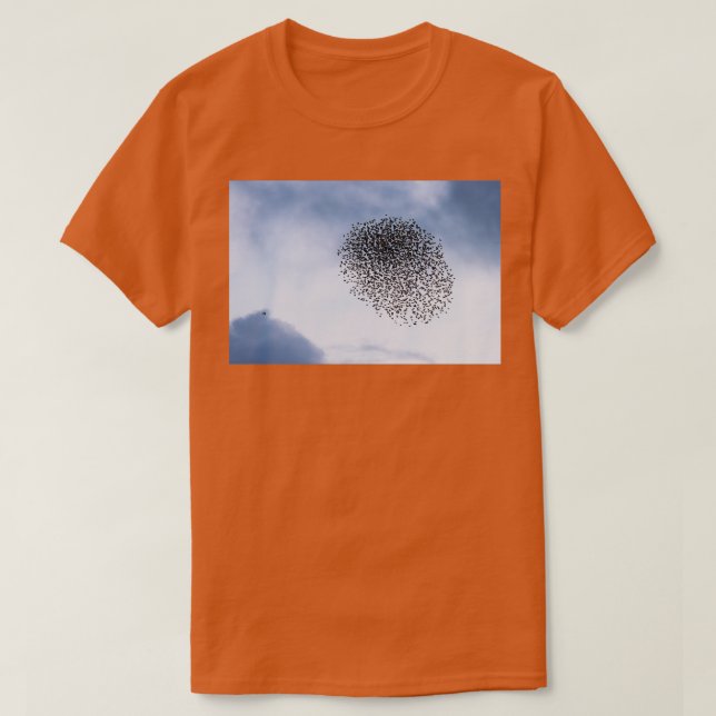 Starlings / Sparrowhawawk I T-Shirt (Design vorne)