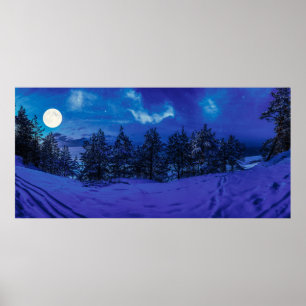 Starre Nacht mit Vollmond im Wald Poster